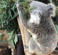 Private Blue Mountains and Wildlife Park Tour from Sydney with Barbecue Lunch - Accommodation Adelaide