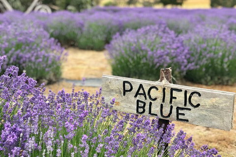 Kangaroo Island Food And Wine Hop-on Hop-off Tour - Accommodation Adelaide 4