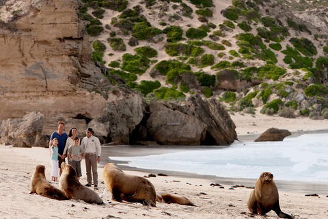 Kangaroo Island Scenic Trail Tour - Accommodation Adelaide 5
