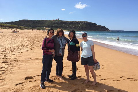 Small-Group Sydney's Northern Beaches And Ku-ring-gai National Park Bus Tour - Accommodation Adelaide 2