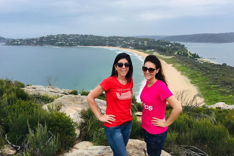 Small-Group Sydney's Northern Beaches And Ku-ring-gai National Park Bus Tour - Accommodation Adelaide 3