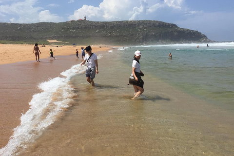 Small-Group Sydney's Northern Beaches And Ku-ring-gai National Park Bus Tour - Accommodation Adelaide 5