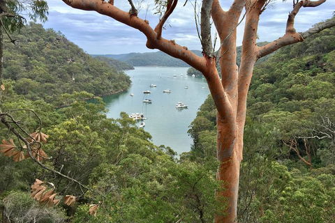 Shore Excursion: Sydney's Northern Beaches & Ku-ring-gai National Park Bus Tour - Accommodation Adelaide 1