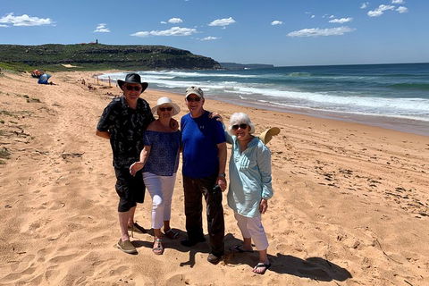Shore Excursion: Sydney's Northern Beaches & Ku-ring-gai National Park Bus Tour - Accommodation Adelaide 3