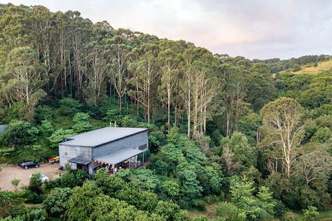 Full-Day Tour To Byron Bay Best Food And Drink Spots - Accommodation Adelaide 3