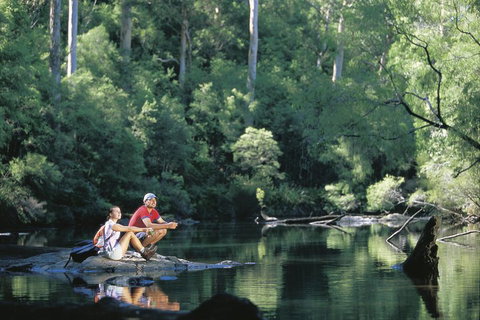 4 Day Tour: Albany, Margaret River, Valley Of The Giants TreeTop Walk From Perth - Accommodation Adelaide 3