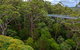 4 Day Tour: Albany, Margaret River, Valley Of The Giants TreeTop Walk From Perth - thumb 4