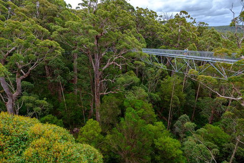 4 Day Tour: Albany, Margaret River, Valley Of The Giants TreeTop Walk From Perth - Accommodation Adelaide 4