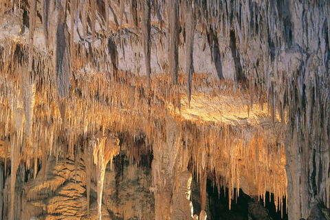 Margaret River, Caves, Wine And Cape Leeuwin Lighthouse Tour From Perth - Accommodation Adelaide 3