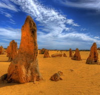 Pinnacles Desert  New Norcia Day Tour from Perth - Accommodation Adelaide