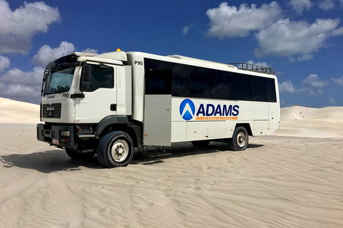 Pinnacles Desert, Koalas And Sandboarding 4WD Day Tour From Perth - Accommodation Adelaide 2