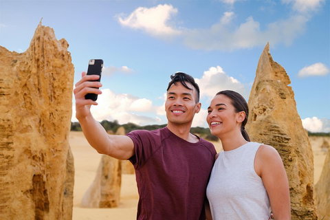 Pinnacles Desert, Koalas And Sandboarding 4WD Day Tour From Perth - Accommodation Adelaide 4
