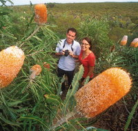 Best of Perth Wildflower Season Day Trip - Accommodation Adelaide