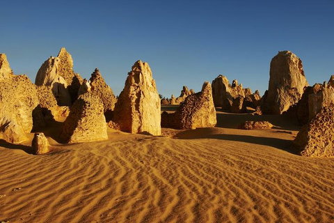 Full Day Pinnacle Desert Explorer From Perth Including Hillarys And Lancelin Sandboarding - Accommodation Adelaide 3