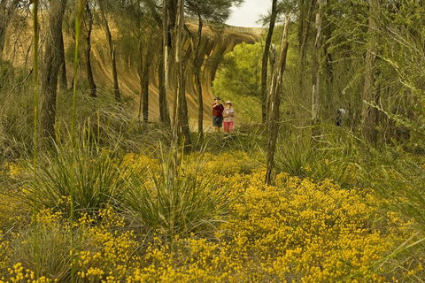 2-Day Wave Rock, York, Wildflowers & Aboriginal Experience - Accommodation Adelaide 2