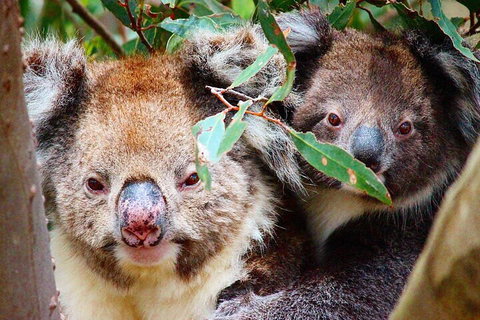 2 Hour Bike Tour In Kangaroo Island - Accommodation Adelaide 5