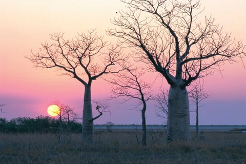 8-Day Outback Experience From Queensland - Accommodation Adelaide 5