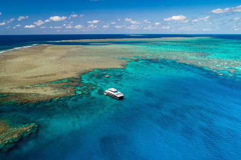 Calypso Outer Great Barrier Reef Cruise From Port Douglas - Accommodation Adelaide 1