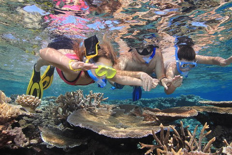 Calypso Outer Great Barrier Reef Cruise From Port Douglas - Accommodation Adelaide 3