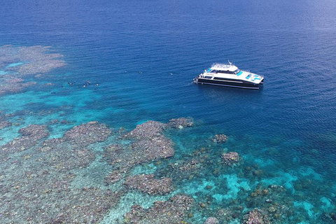 Calypso Outer Great Barrier Reef Cruise From Port Douglas - Accommodation Adelaide 4