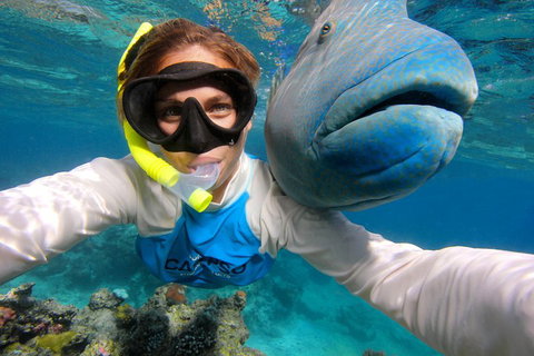 Calypso Outer Great Barrier Reef Cruise From Port Douglas - Accommodation Adelaide 5