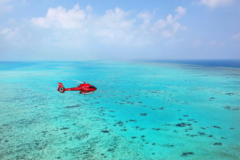 Port Douglas Scenic Flights - Accommodation Adelaide 0