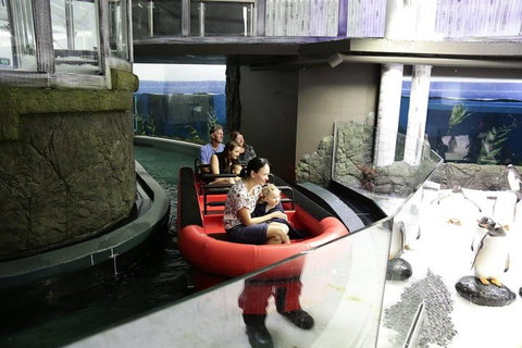 Sydney Attractions Pass: SEA LIFE Aquarium, Sydney Tower Eye, WILD LIFE Zoo And Madame Tussauds - Accommodation Adelaide 0