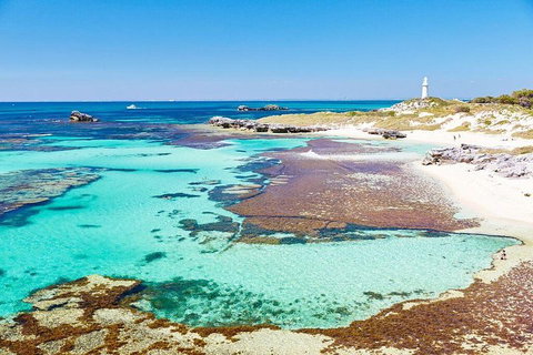 Fremantle To Rottnest Island Roundtrip Ferry Ticket - Accommodation Adelaide 2