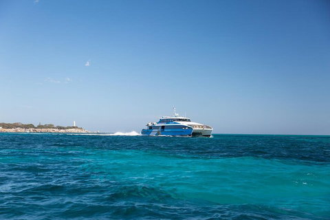 Fremantle To Rottnest Island Roundtrip Ferry Ticket - Accommodation Adelaide 5