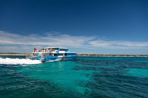 Rottnest Island All-Inclusive Grand Island Tour From Fremantle - Accommodation Adelaide 3