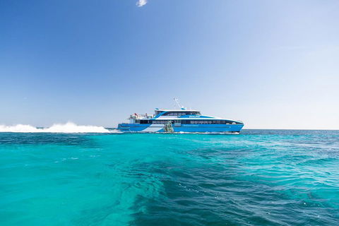 Rottnest Island Bike, Snorkel & Ferry Package From Fremantle - Accommodation Adelaide 0