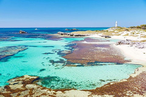 Rottnest Island Bike, Snorkel & Ferry Package From Fremantle - Accommodation Adelaide 4