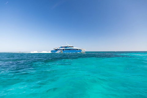 Rottnest Island Fortress Adventure Segway Package From Fremantle - Accommodation Adelaide 0