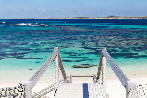 Rottnest Island Bike, Snorkel & Ferry Package From Perth - Accommodation Adelaide 4