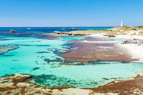 Rottnest Island Bike, Snorkel & Ferry Package From Perth - Accommodation Adelaide 5