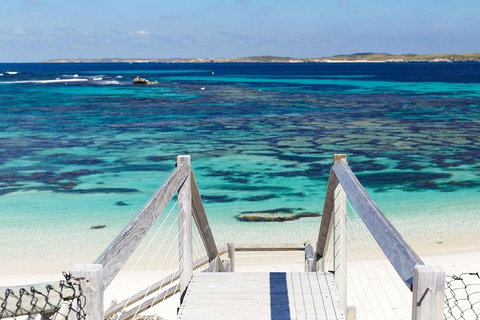 Rottnest Island Bayseeker Day Trip From Perth - Accommodation Adelaide 3