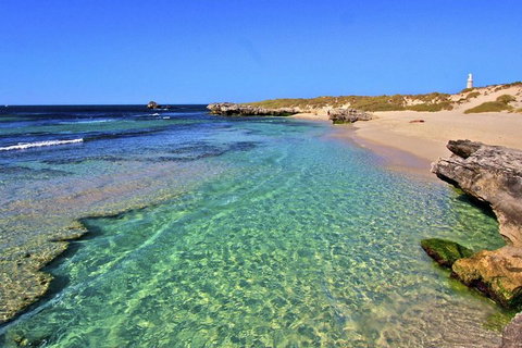 Rottnest Island Bayseeker Day Trip From Perth - Accommodation Adelaide 5