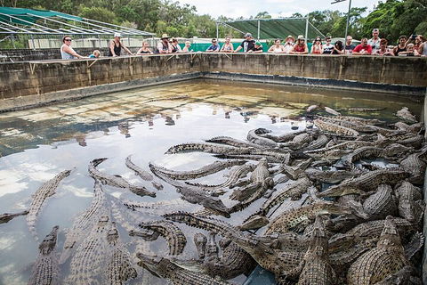 Hartley's Crocodile Adventures Day Trip From Cairns - Accommodation Adelaide 0