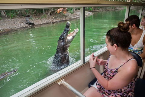 Hartley's Crocodile Adventures Day Trip From Cairns - Accommodation Adelaide 3