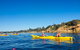 Mornington Peninsula Kayak Coastline Tour Of Dolphin Sanctuary - thumb 1