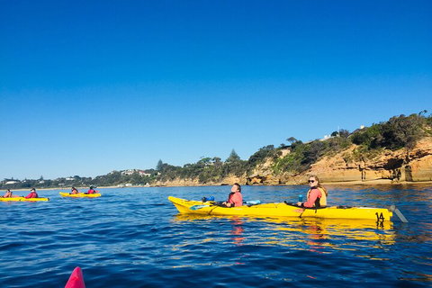 Mornington Peninsula Kayak Coastline Tour Of Dolphin Sanctuary - Accommodation Adelaide 1