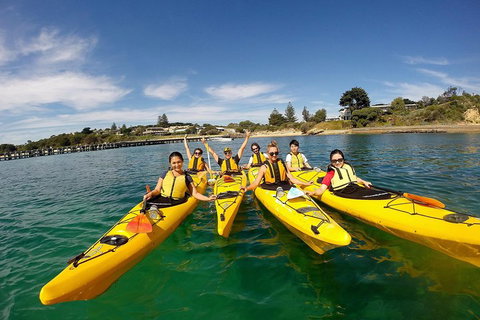 Mornington Peninsula Kayak Coastline Tour Of Dolphin Sanctuary - Accommodation Adelaide 2