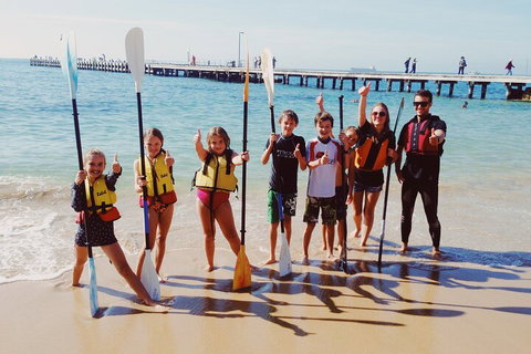 Mornington Peninsula Kayak Coastline Tour Of Dolphin Sanctuary - Accommodation Adelaide 3