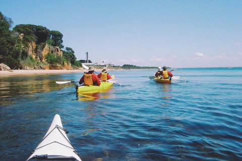 Mornington Peninsula Kayak Coastline Tour Of Dolphin Sanctuary - Accommodation Adelaide 5