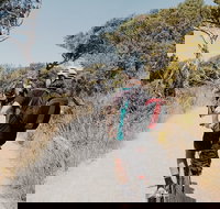 Self-Guided Point Nepean National Park Bike Hire - Accommodation Adelaide