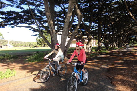 Self-Guided Point Nepean National Park Bike Hire - Accommodation Adelaide 2
