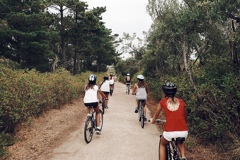 Self-Guided Point Nepean National Park Bike Hire - Accommodation Adelaide 3