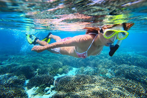 Abrolhos Islands Scenic Flight & Snorkel Adventure From Perth - Accommodation Adelaide 1
