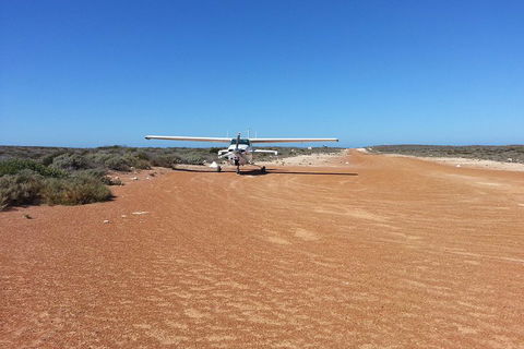 Abrolhos Islands Scenic Flight & Snorkel Adventure From Perth - Accommodation Adelaide 3