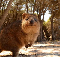 Wave Rock  Rottnest Island - Air  Ground Tour - Accommodation Adelaide